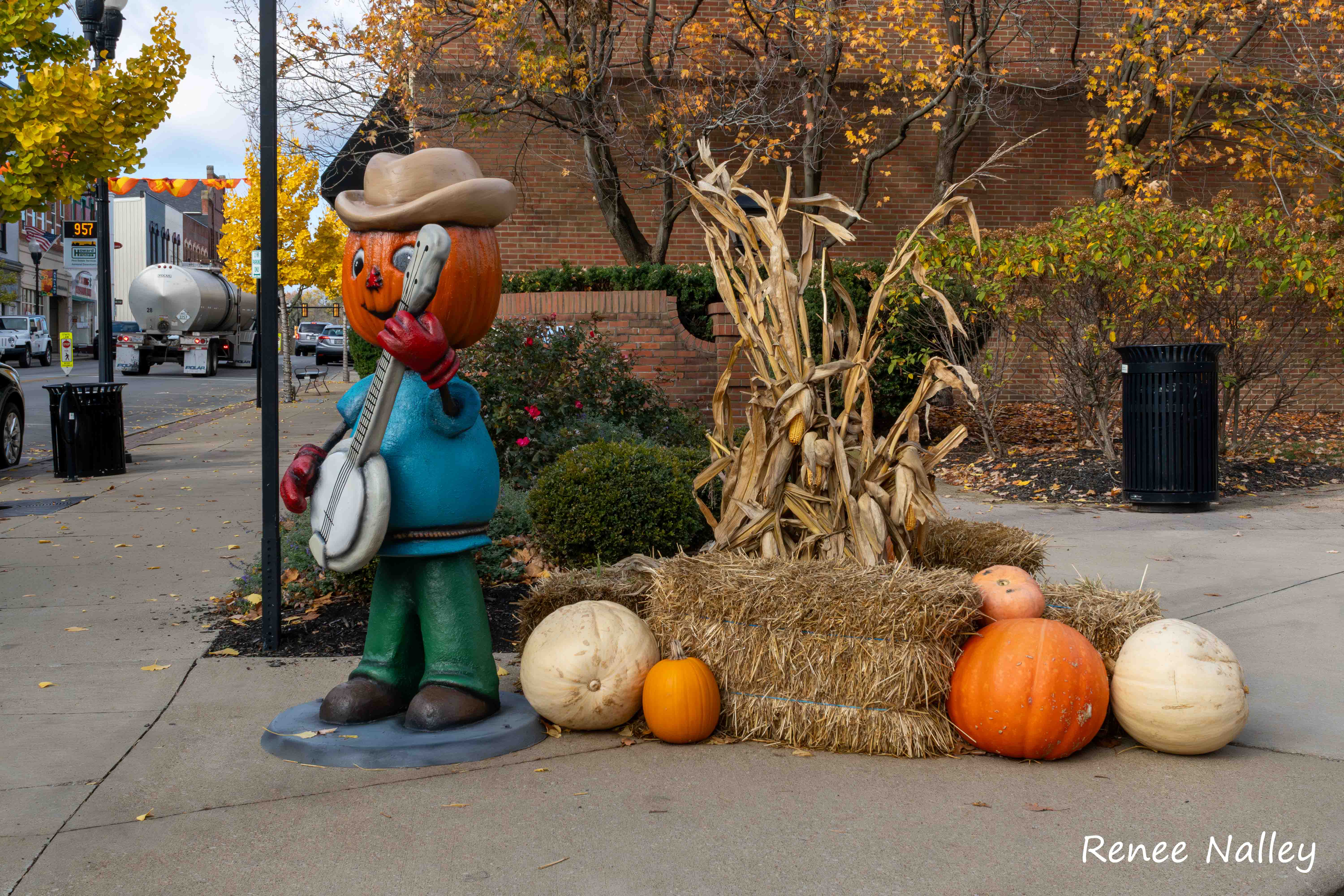 Pumpkin People 11